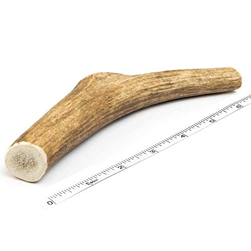 Devil Dog Pet Co Antler Dog Chew - Premium Elk Antlers for Dogs - Long Lasting Dog Bones for...