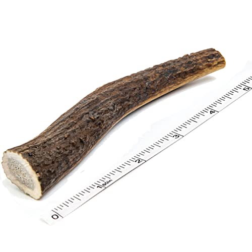 Devil Dog Pet Co Antler Dog Chew - Premium Elk Antlers for Dogs - Long Lasting Dog Bones for...