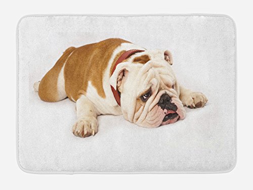 Ambesonne English Bulldog Bath Mat, Sad and Tired Bulldog Laying Down European Pure Breed Animal...