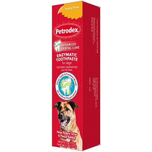Petrodex Toothpaste for Dogs and Puppies, Cleans Teeth and Fights Bad Breath, Reduces Plaque and...