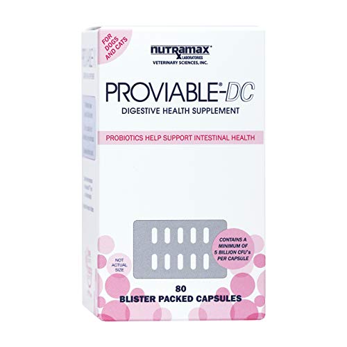 Nutramax Proviable Digestive Health Supplement Multi-Strain Probiotics and Prebiotics for Cats and...