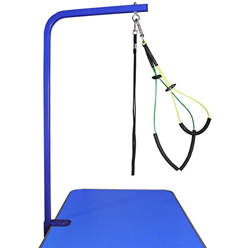 Downtown Pet Supply Dog Grooming Arm with Clamp and Grooming Loop, 1 Haunch, Blue - Adjustable,...