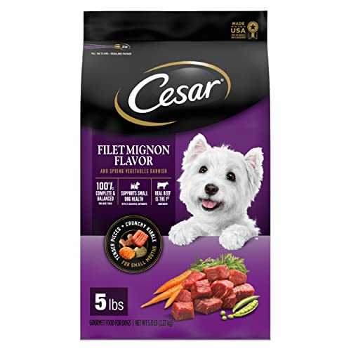CESAR Small Breed Dry Dog Food Filet Mignon Flavor with Spring Vegetables Garnish Dog Kibble, 5 lb....
