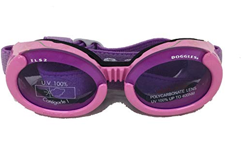 Doggles ILS Extra Small Lilac Flower Frame with Purple Lens Dog Goggles