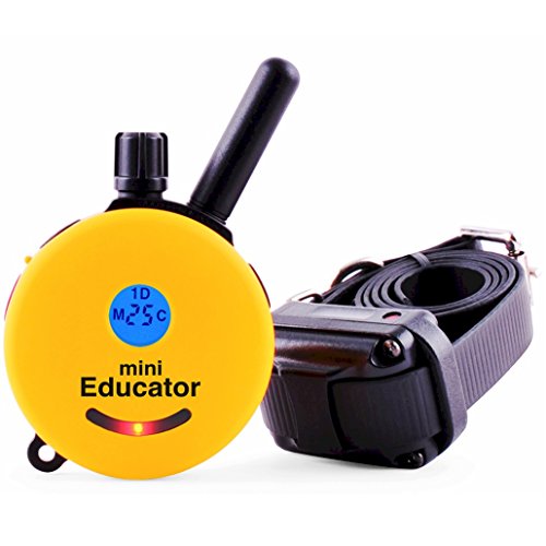 Educator E-Collar Humane Dog Training Collar with Remote, Features 100 Levels of Safe Stimulation,...
