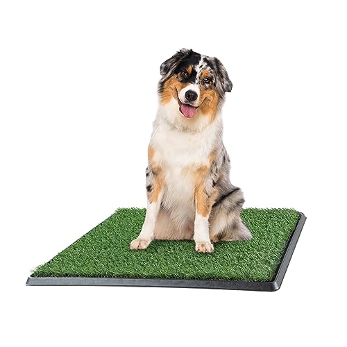 Artificial Grass Puppy Pee Pad for Dogs and Small Pets - 20x25 Reusable 3-Layer Training Potty Pad...