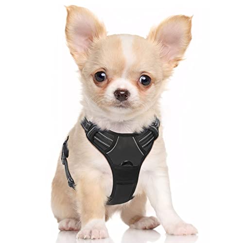 rabbitgoo Dog Harness, No-Pull Pet Harness with 2 Leash Clips, Adjustable Soft Padded Dog Vest,...