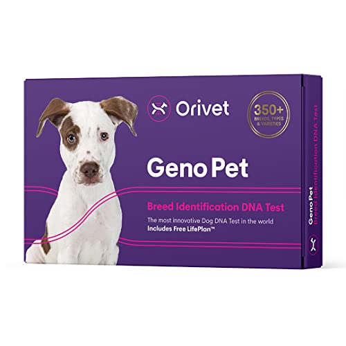 Orivet Genopet Dog DNA Test | Dog Breed Test Kit, Genetic Testing, Heritable Health Risks and Life...
