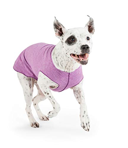 Gold Paw Sun Shield Dog Tee – T-Shirt for Canines – UV Protection, Pet Anxiety Relief, Wound...