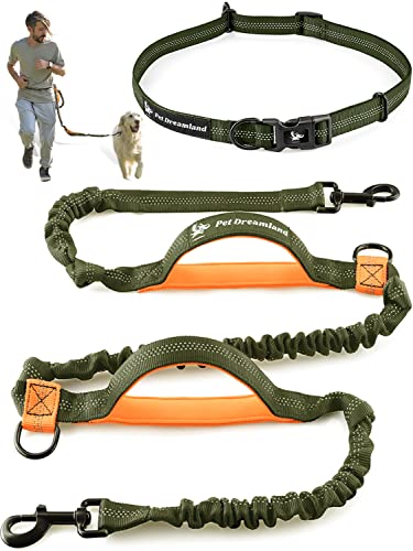 NORYER Hands Free Dog Leash with Zipper Pouch,LED Lighting Waist Belt Dual Handle Elastic Bungees Retractable Rope for Medium and Large Dogs,Reflective Stitches 