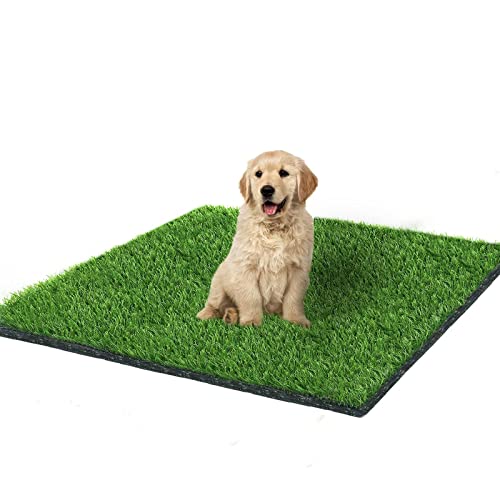 Fortune-star 39.3in X 31.5in Grass Pad for Dogs, Fake Grass for Dog Potty Training Pad, Artificial...