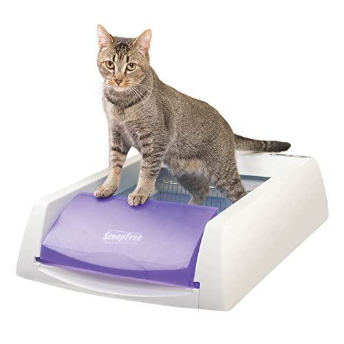 PetSafe ScoopFree Original Purple Uncovered Self Cleaning Cat Litter Box System - No More Scooping -...