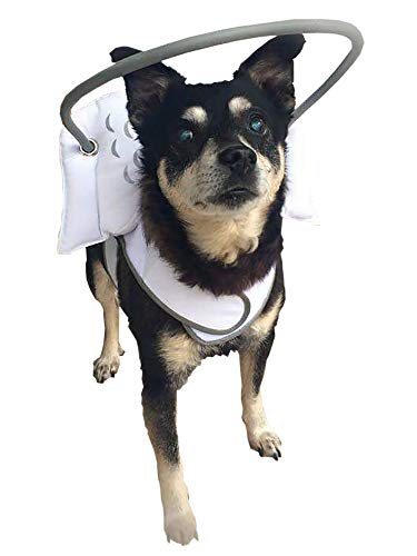 Muffin’s Halo Blind Dog Harness Guide Device – Help for Blind Dogs to Avoid Accidents & Build...