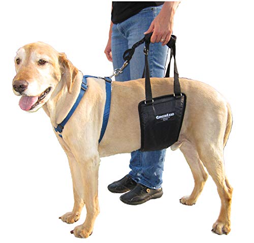 GINGERLEAD Dog Rear Support Sling Harness, M/LG Unisex with Cutout Fits Male & Female Dogs. Padded...