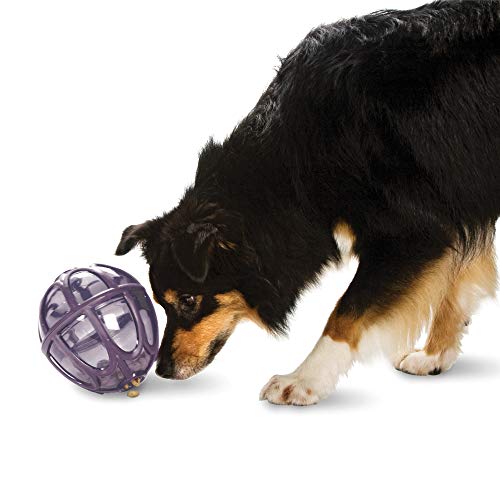 PetSafe Busy Buddy Kibble Nibble Meal Dispensing Dog Toy, Small - PTY00-13739,purple