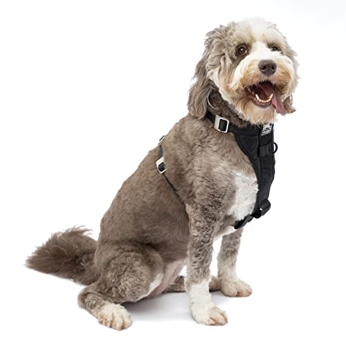 Kurgo Tru-Fit Enhanced Strength Dog Harness, Crash Tested Car Safety Harness for Dogs, Includes Pet...