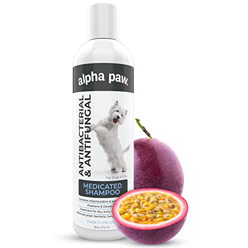 Antibacterial & Antifungal Shampoo for Dogs & Cats – Contains Ketoconazole & Chlorhexidine - Dog...