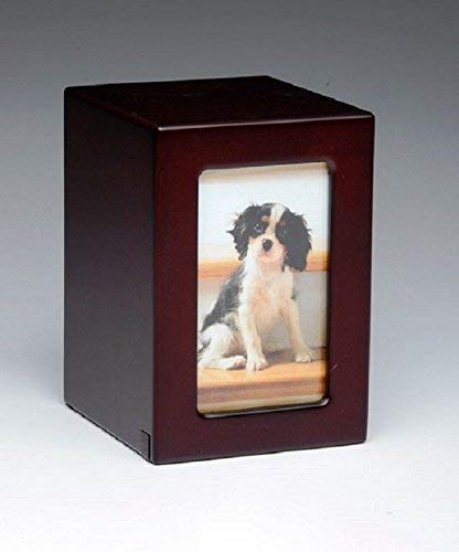 Pet Urn Peaceful Pet Memorial Keepsake Urn,Photo Box Pet Cremation Urn,Dog Urn,Cat Urn,Small Animal...
