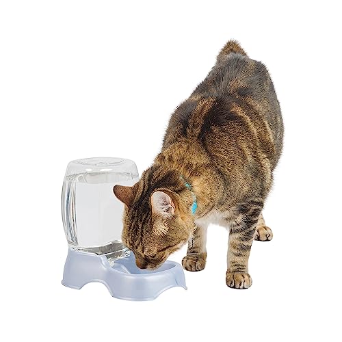 Petmate Pet Cafe Waterer Cat and Dog Water Dispenser, pearl silver gray, 0.25 GAL (24436), Made in...