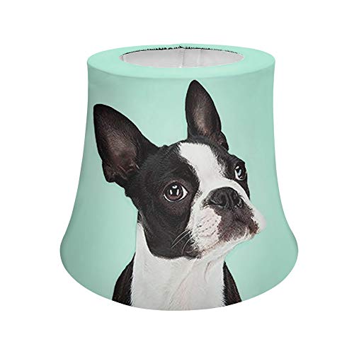 Cozeyat Modern Trendy Decorative Handmade Lamp Shade for Living Room,Bedroom,Boston Terrier Pattern...