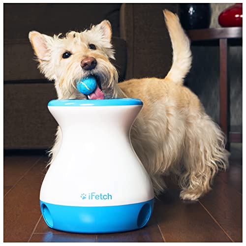 iFetch Frenzy Fetch Toy for Dogs - Non-Electronic Brain Teaser for Small Dogs; uses Mini Tennis...
