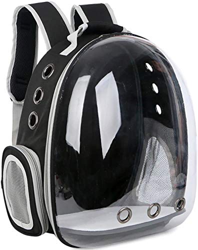 Your Cat Backpack: The Voyager Cat Backpack - Premium Pet Carrier Bag for Travel and Hiking - Clear...
