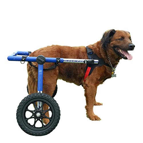 Light Weight Easy Assemble Vogvigo Adjustable Dog Wheelchair for Back Legs,Cart Wheel Chair for Disabled Dog Hind Legs Rehabilitation for Dogs Weight 8-22 lbs XS 