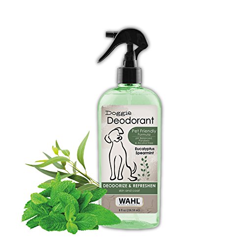 Wahl Deodorizing & Refreshing Pet Deodorant for Dogs - Eucalyptus & Spearmint Scent to Refresh the...
