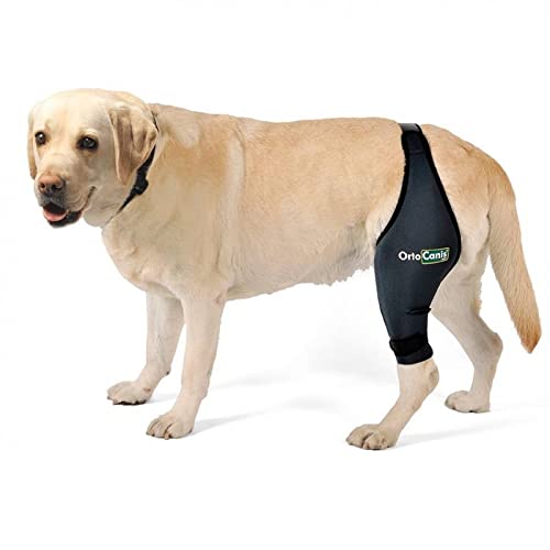 Ortocanis™ Original Dog Knee Brace - Size XL - Left Leg - for ACL, Knee Cap Dislocation, Arthritis...