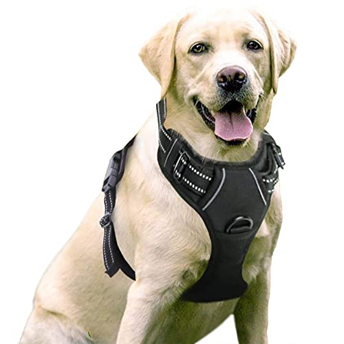 rabbitgoo Dog Harness, No-Pull Pet Harness with 2 Leash Clips, Adjustable Soft Padded Dog Vest,...