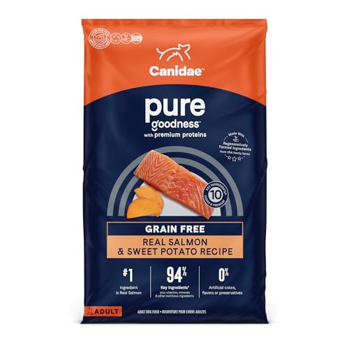7 Best Salmon Dog Food Brands (December 2023 Reviews) The Goody Pet
