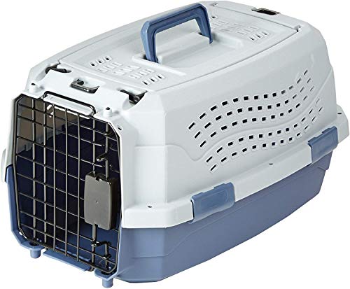 Amazon Basics 2-Door Top-Load Hard-Sided Pet Travel Carrier, 19-Inch, Gray & Blue