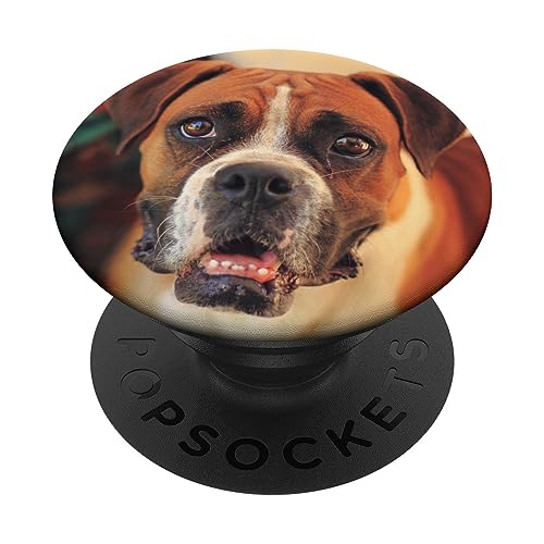 Boxer Dog PopSockets Standard PopGrip