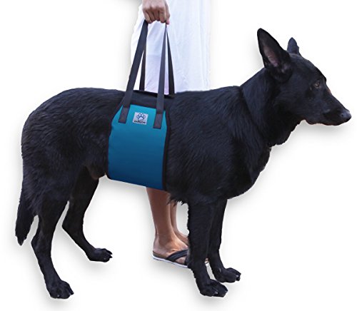 XL Blue Dog Lift Support Harness for canine aid - Lifting Older K9 with handle for Injuries,...