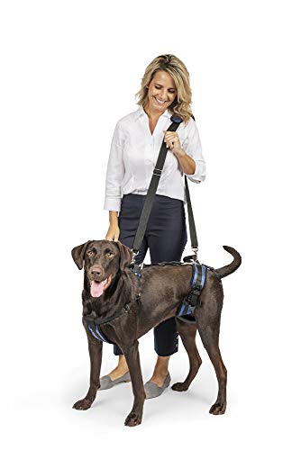 PetSafe CareLift Support Harness - Full Body Dog Lift Harness with Handle & Shoulder Sling - Great...