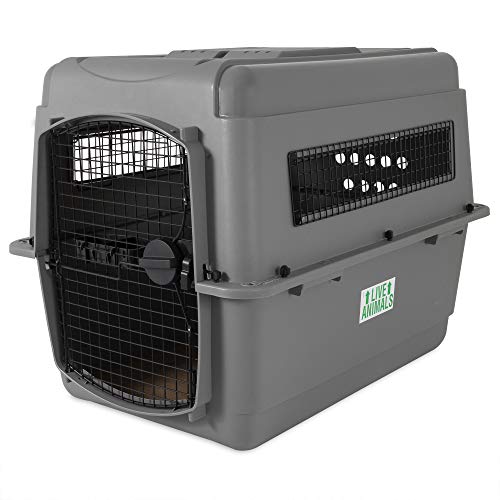 Petmate Sky Kennel Pet Carrier, 36 Inch, Made in USA