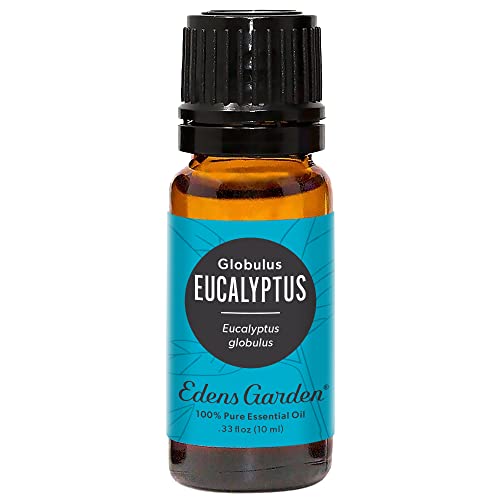 Eucalyptus 100% Pure Therapeutic Grade Essential Oil- 10 ml