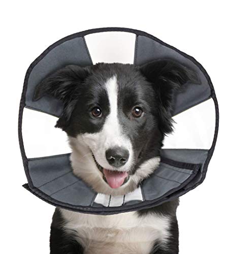 ZenPet Pet Recovery Cone E-Collar for Dogs and Cats - Always Use with Your Pet's Everyday Collar -...