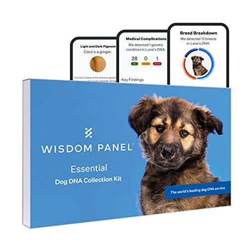 Wisdom Panel Essential, New and Improved Dog DNA Test for Ancestry, Traits and Medical Complications