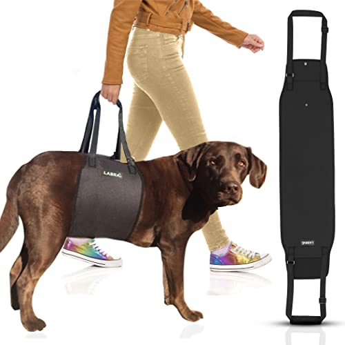 7 Best Dog Lift Harnesses (December 2022 Reviews) The Goody Pet
