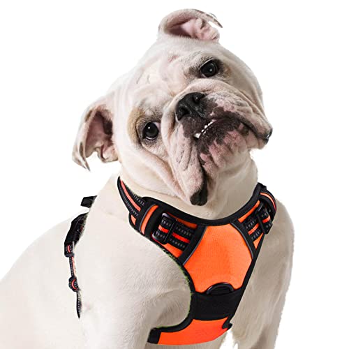 Eagloo Dog Harness No Pull, Walking Pet Harness with 2 Metal Rings and Handle Adjustable Reflective...