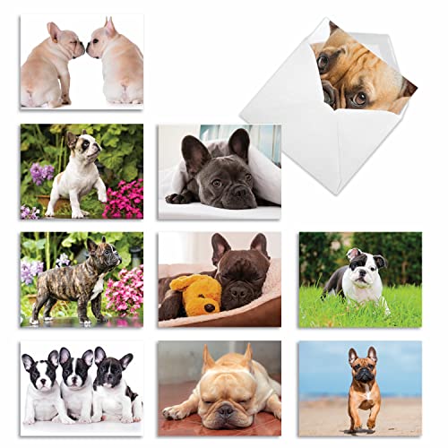 The Best Card Company - 10 Adorable Blank Dog Cards (4 x 5.12 Inch) - Assorted Pet Breeds, Boxed Set...