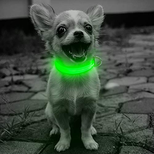 Domi Led Dog Collar, USB Rechargeable Adjustable Lighted Collar for Small Dogs and Cats, Reflective...