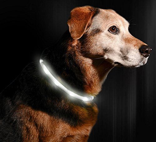LED Dog Necklace Collar - USB Rechargeable Loop - Available in 6 Colors - Makes Your Dog Visible,...