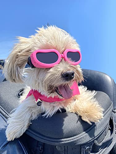 Enjoying Small Dog Sunglasses Anti-Ultraviolet Doggy Goggles Windproof Motorcycle Pet Glasses for...