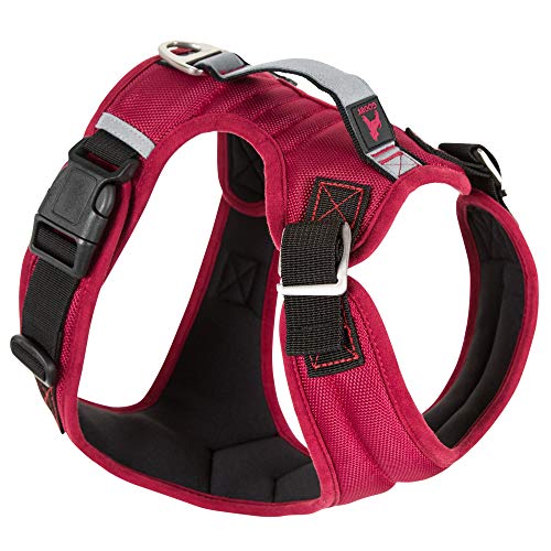 Gooby - Pioneer Dog Harness, Small Dog Head-in Harness with Control Handle and Seat Belt Restrain...