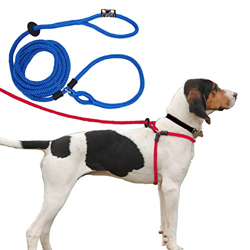 Harness Lead Escape Resistant, Reduces Pull Dog Harness, Medium/Large 40 to 170 lbs, Blue