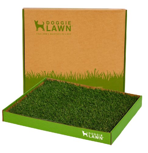 DoggieLawn Real Grass Puppy Pee Pads- 24 x 20 Inches - Perfect Indoor Litter Box for Dogs - No Mess,...