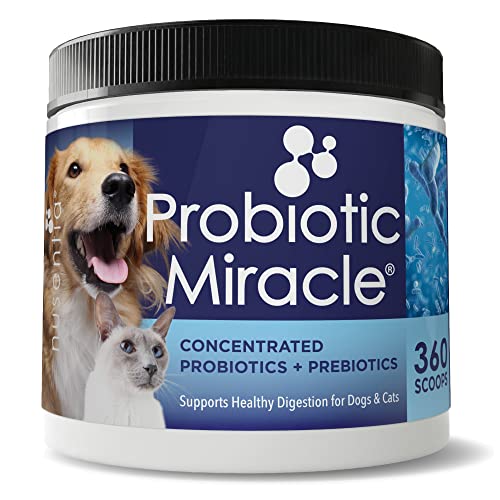 NUSENTIA Probiotics for Dogs -( 360 Scoops)-Probiotic Miracle -Advanced, Species Specific Probiotics...