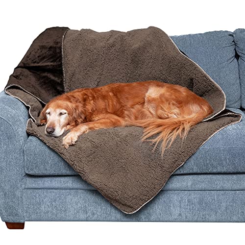 Furhaven Pet Bed Blanket for Dogs and Cats - Self-Warming Waterproof Terry and Faux Lambswool...